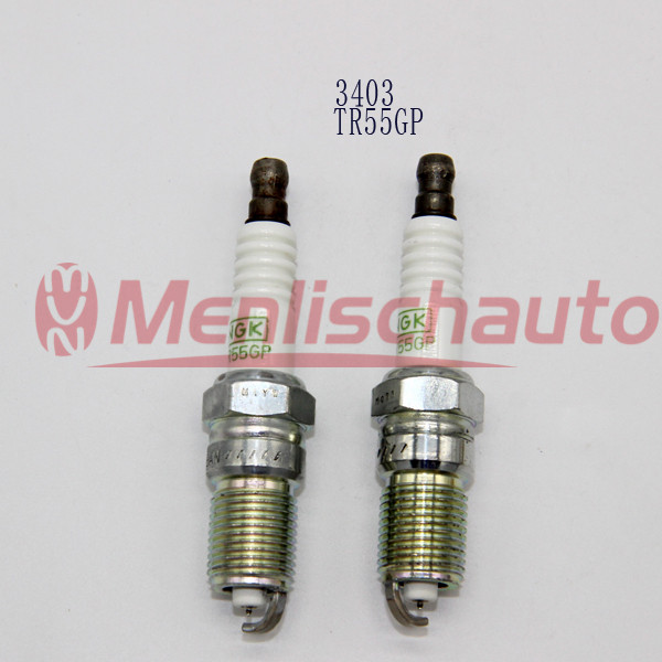 TR55GP3403