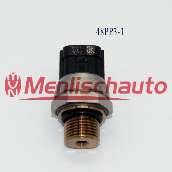 48PP3-1