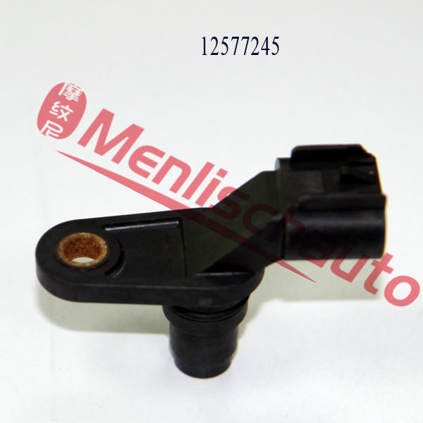 A313  12577245(2)