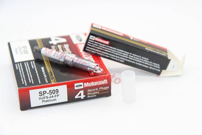 SP-509(HJFS-24-FP)