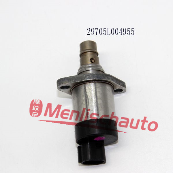 29705L004955