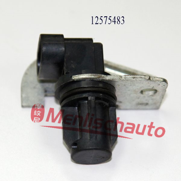 A12  12575483(2)