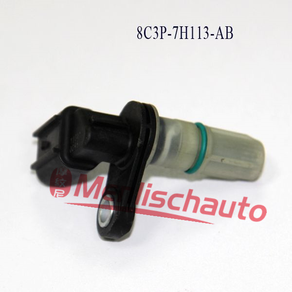 A162  8C3P-7H113-AB(2)