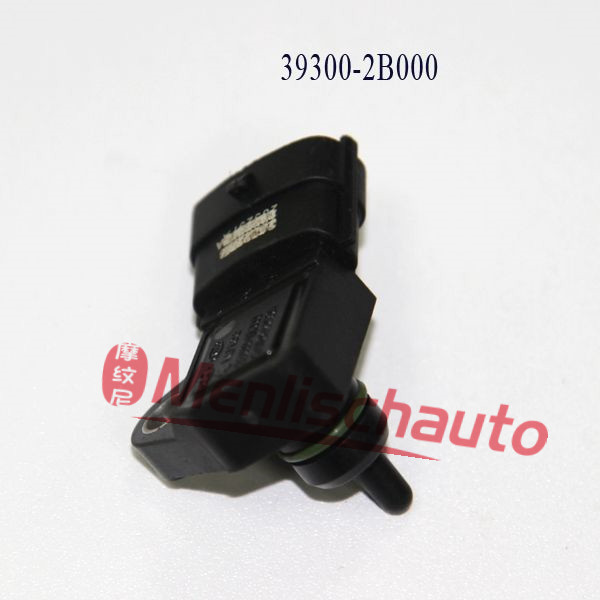A169  39300-2B000(2)