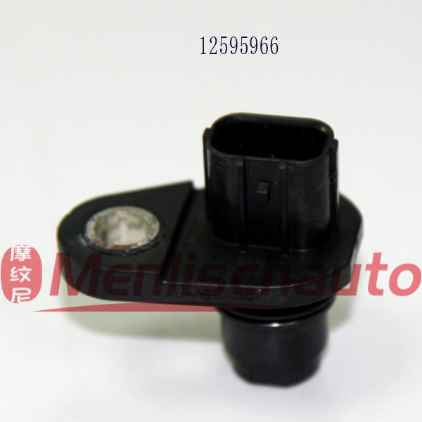 A251  12595966(2)
