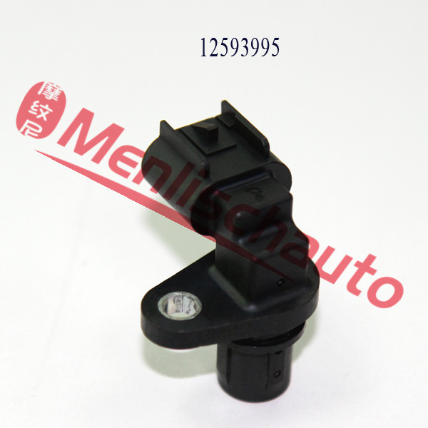 A276  12593995(2)