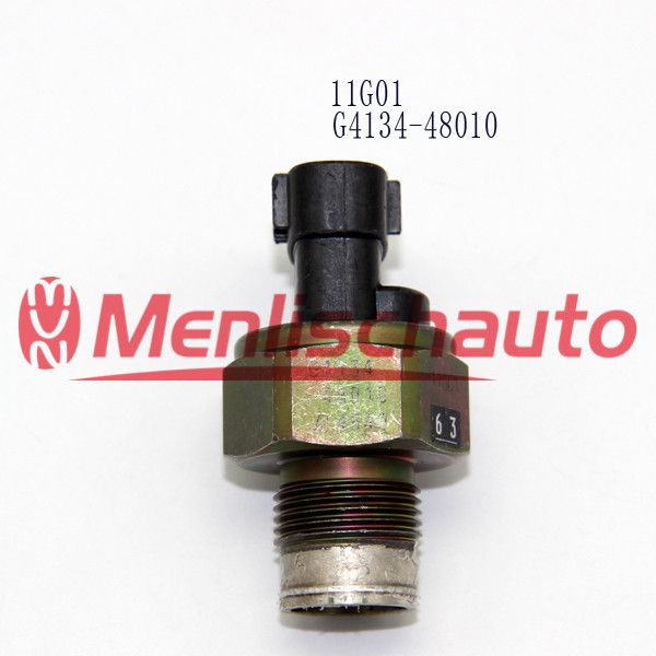 G4134-48010454011G01