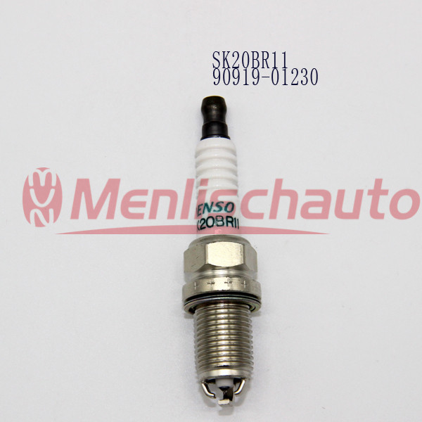 SK20BR1190919-01230