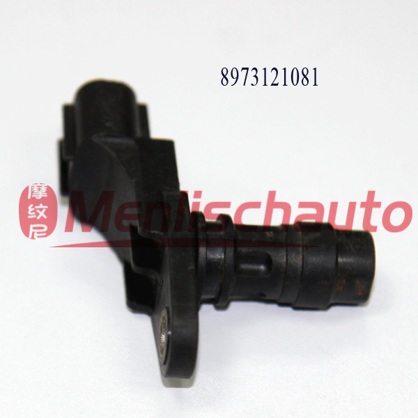 A6 8973121081(2)