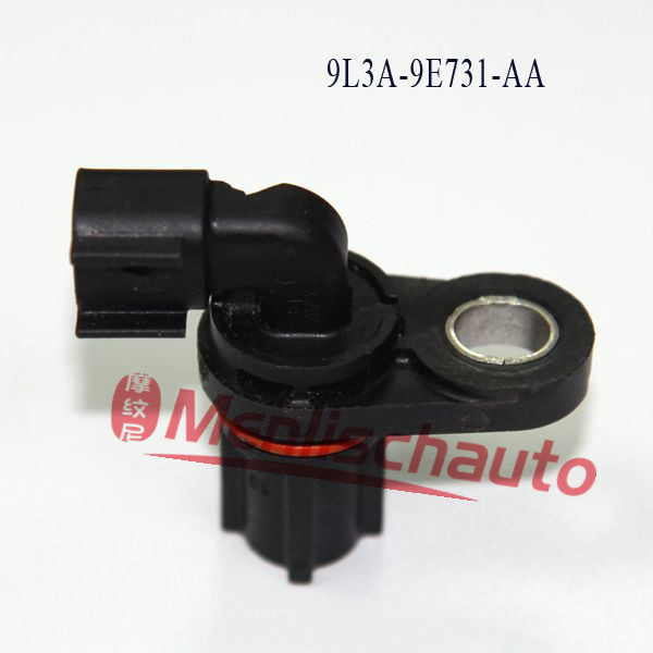 A66  9L3A-9E731-AA(2)