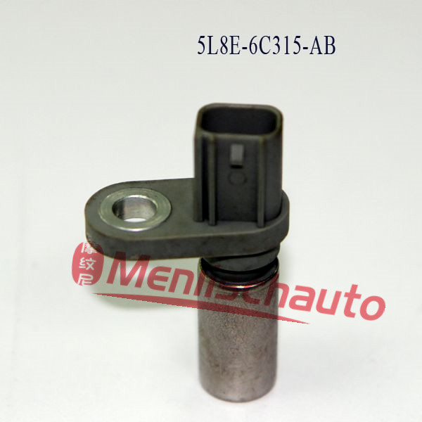 A300  5L8E-6C315-AB(2)